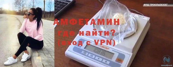 spice Верея