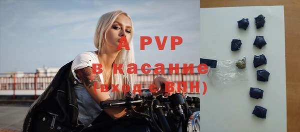 spice Верея
