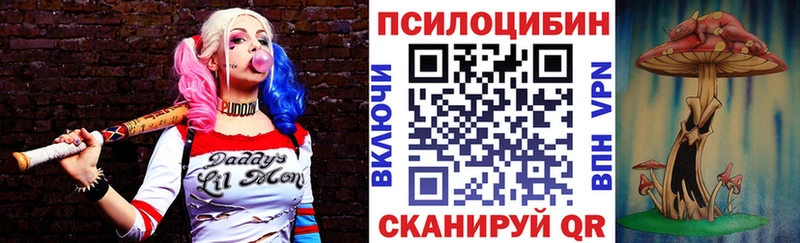 Купить закладки  Отрадный  Псилоцибиновые грибы Psilocybine cubensis 