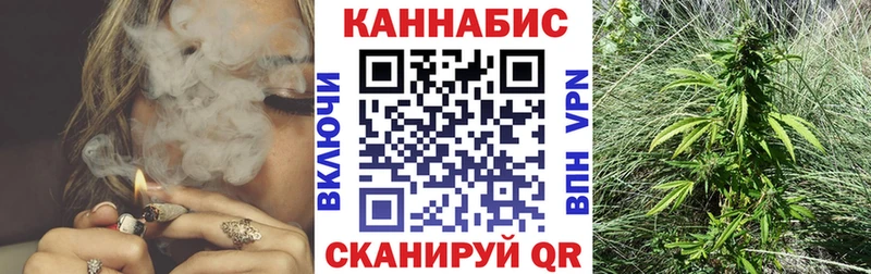 Купить закладки  Отрадный  Шишки марихуана план 